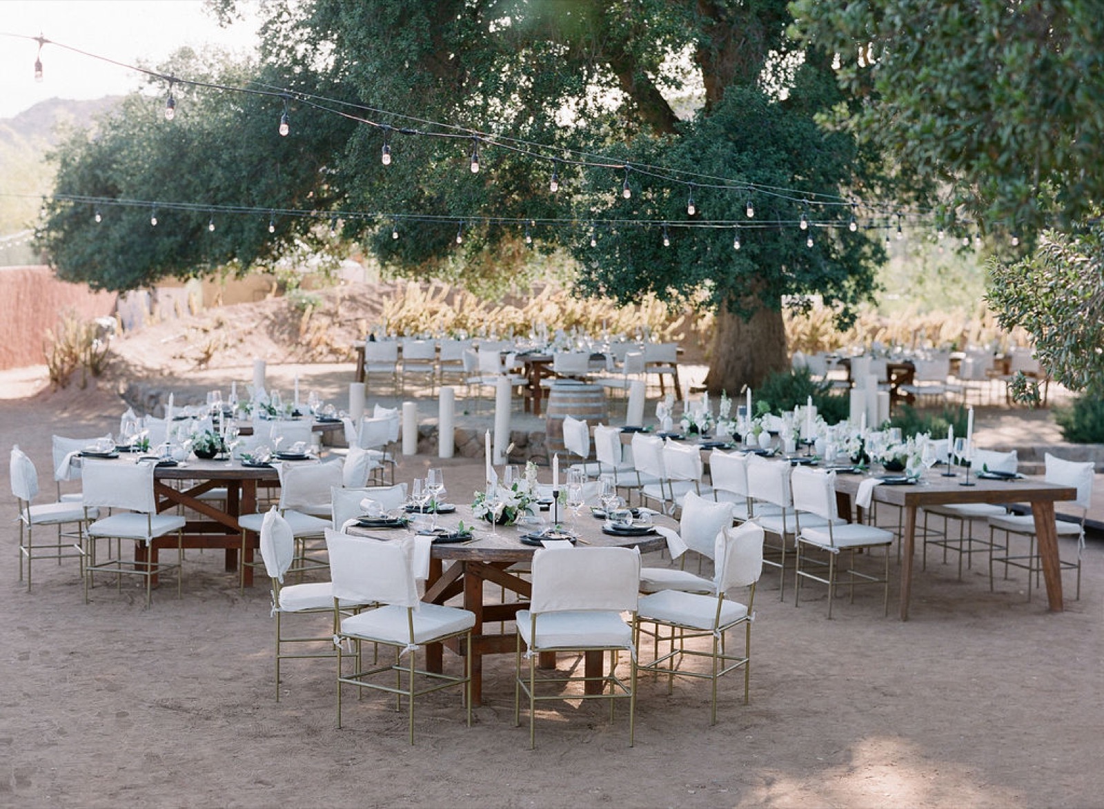 Outdoor wedding reception under a string-lit oak canopy at Bruma Wine Resort
